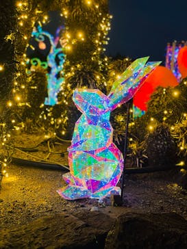 伊豆高原グランイルミに投稿された画像（2024/12/6）