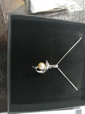 三重県真珠に投稿された画像（2024/12/6）