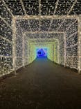 KYOTO ILLUMINATION SYNESTHESIA HILLS るり渓温泉に投稿された画像（2024/12/6）