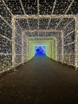 KYOTO ILLUMINATION SYNESTHESIA HILLS るり渓温泉に投稿された画像（2024/12/6）