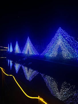 KYOTO ILLUMINATION SYNESTHESIA HILLS るり渓温泉に投稿された画像（2024/12/6）