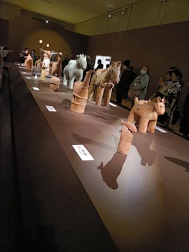 挂甲の武人 国宝指定50周年記念 特別展「はにわ」@東京国立博物館 平成館に投稿された画像（2024/12/6）