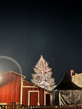 Christmas Market in 横浜赤レンガ倉庫 2025に投稿された画像（2024/12/6）