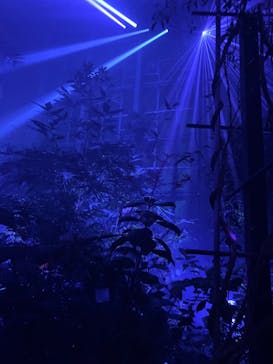 京都府立植物園　LIGHT CYCLES KYOTOに投稿された画像（2024/12/6）