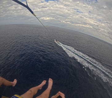 Sea World（シーワールド）に投稿された画像（2024/12/6）