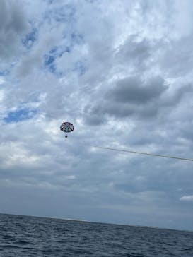 Sea World（シーワールド）に投稿された画像（2024/12/6）