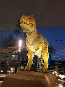 福井県立恐竜博物館に投稿された画像（2024/12/7）