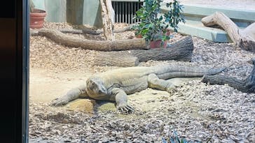 名古屋市東山動植物園に投稿された画像（2024/12/7）