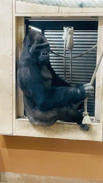 名古屋市東山動植物園に投稿された画像（2024/12/7）