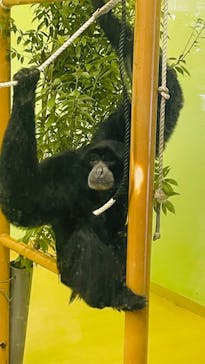 名古屋市東山動植物園に投稿された画像（2024/12/7）