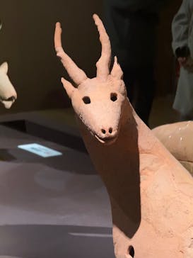 挂甲の武人 国宝指定50周年記念 特別展「はにわ」@東京国立博物館 平成館に投稿された画像（2024/12/7）