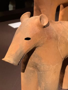 挂甲の武人 国宝指定50周年記念 特別展「はにわ」@東京国立博物館 平成館に投稿された画像（2024/12/7）