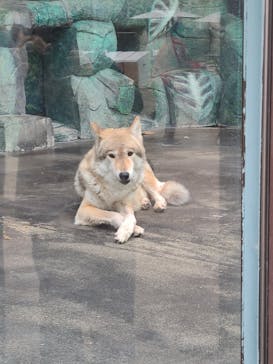 天王寺動物園に投稿された画像（2024/12/7）