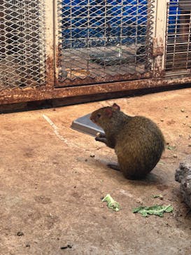 伊豆シャボテン動物公園に投稿された画像（2024/12/7）