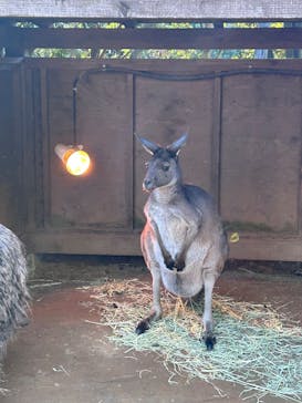 伊豆シャボテン動物公園に投稿された画像（2024/12/7）
