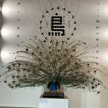 特別展「鳥 ～ゲノム解析が解き明かす新しい鳥類の系統～」国立科学博物館に投稿された画像（2024/12/7）