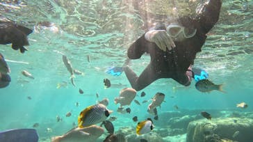 DIVING-SHOP SUNSに投稿された画像（2024/12/7）