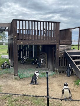 名古屋港水族館に投稿された画像（2024/12/7）