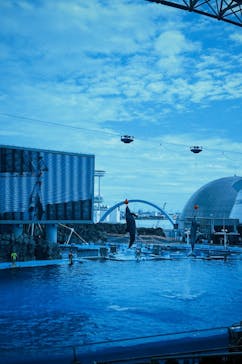 名古屋港水族館に投稿された画像（2024/12/7）