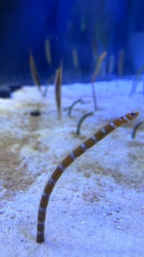 名古屋港水族館に投稿された画像（2024/12/7）