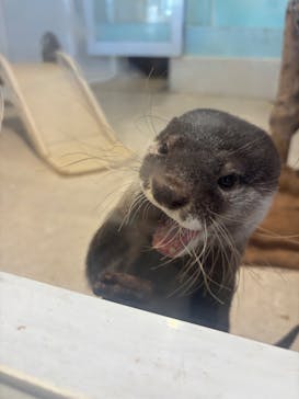 アニタッチPARKイオンモール太田に投稿された画像（2024/12/7）