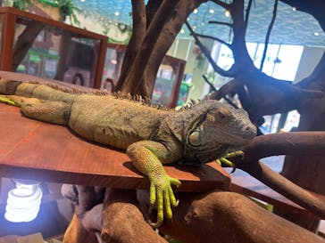 アニタッチPARKイオンモール太田に投稿された画像（2024/12/7）