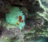 武藤潜水に投稿された画像（2024/12/7）