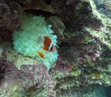 武藤潜水に投稿された画像（2024/12/7）