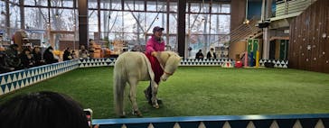 ノーザンホースパークに投稿された画像（2024/12/7）