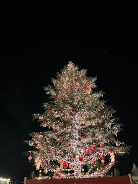 Christmas Market in 横浜赤レンガ倉庫 2025に投稿された画像（2024/12/7）