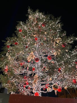 Christmas Market in 横浜赤レンガ倉庫 2025に投稿された画像（2024/12/7）