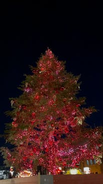 Christmas Market in 横浜赤レンガ倉庫 2025に投稿された画像（2024/12/7）