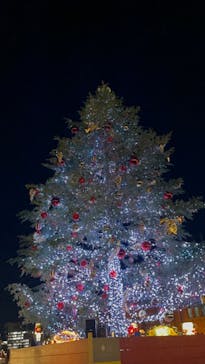 Christmas Market in 横浜赤レンガ倉庫 2025に投稿された画像（2024/12/7）