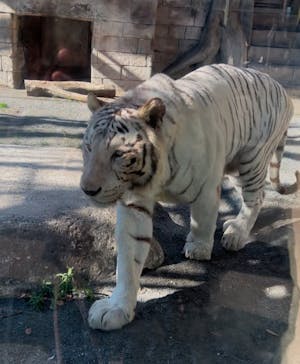 東武動物公園に投稿された画像（2024/12/7）