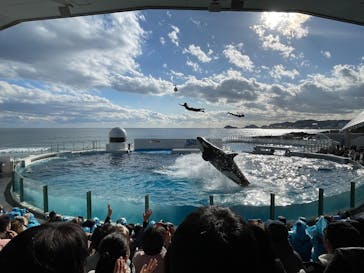 鴨川シーワールドに投稿された画像（2024/12/7）