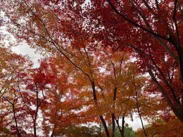 名古屋市東山動植物園に投稿された画像（2024/12/7）