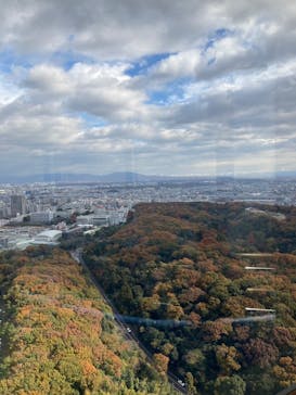 名古屋市東山動植物園に投稿された画像（2024/12/7）