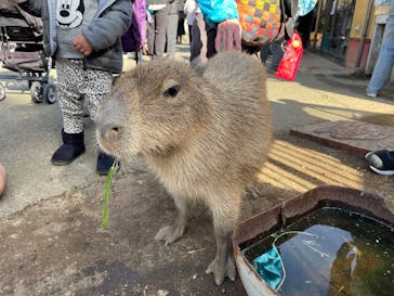 伊豆シャボテン動物公園に投稿された画像（2024/12/7）