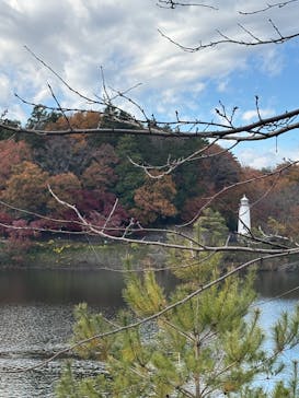 ムーミンバレーパークに投稿された画像（2024/12/7）