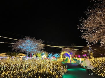 伊豆高原グランイルミに投稿された画像（2024/12/7）