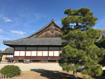 元離宮二条城に投稿された画像（2024/12/7）