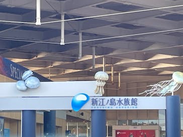 新江ノ島水族館に投稿された画像（2024/12/7）