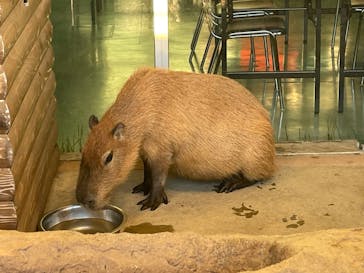 新江ノ島水族館に投稿された画像（2024/12/7）