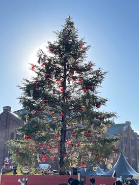 Christmas Market in 横浜赤レンガ倉庫 2025に投稿された画像（2024/12/7）