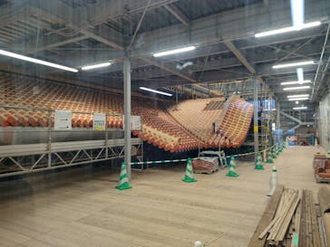 首里城公園 有料区域に投稿された画像（2024/12/7）