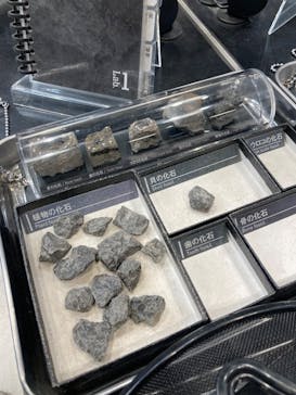 福井県立恐竜博物館に投稿された画像（2024/12/7）