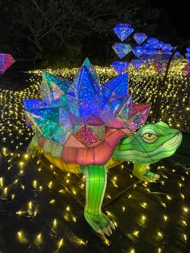 伊豆高原グランイルミに投稿された画像（2024/12/7）