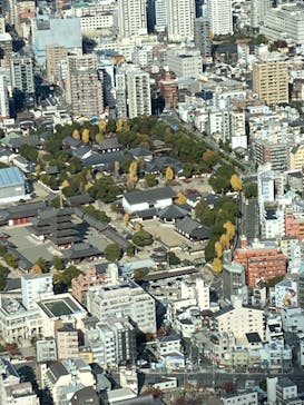 ハルカス300(展望台)に投稿された画像（2024/12/7）