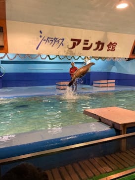 ゼロ距離水族館 伊勢シーパラダイスに投稿された画像（2024/12/7）