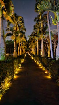 美らヤシパークオキナワ・東南植物楽園に投稿された画像（2024/12/7）